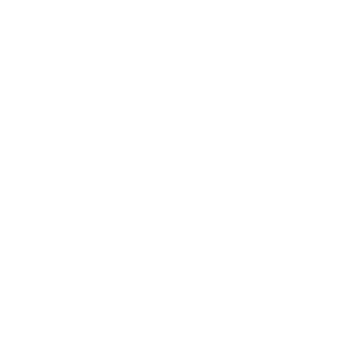 information cycle icon